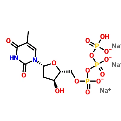 CAS 27821-54-1|Θυμιδίνη 5'-(όξινο τριφωσφορικό τρινάτριο)