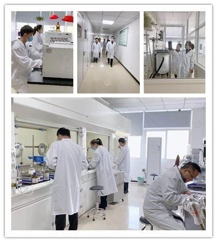 CAS:72830-07-0丨3,4-DIMETHOXY-2-METHYLPYRIDINE N-OXIDE